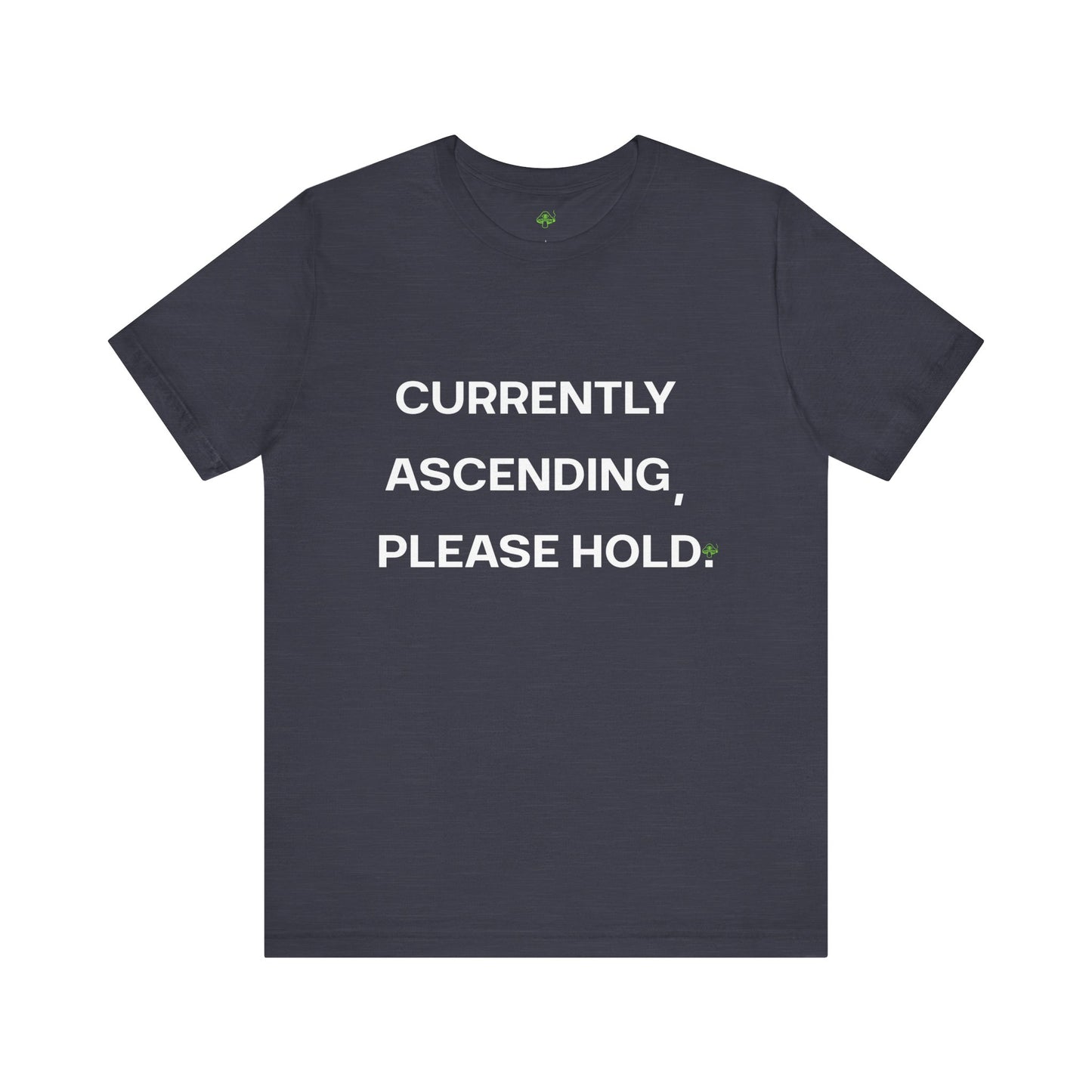Currently Ascending Please Hold Shirt – Spiritual Meme Tee