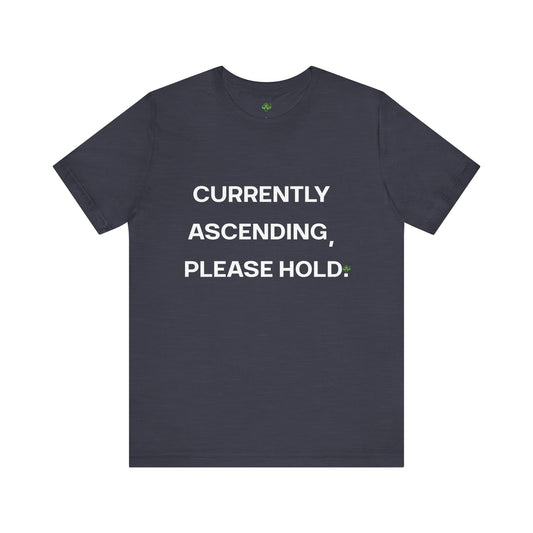 Currently Ascending Please Hold Shirt – Spiritual Meme Tee