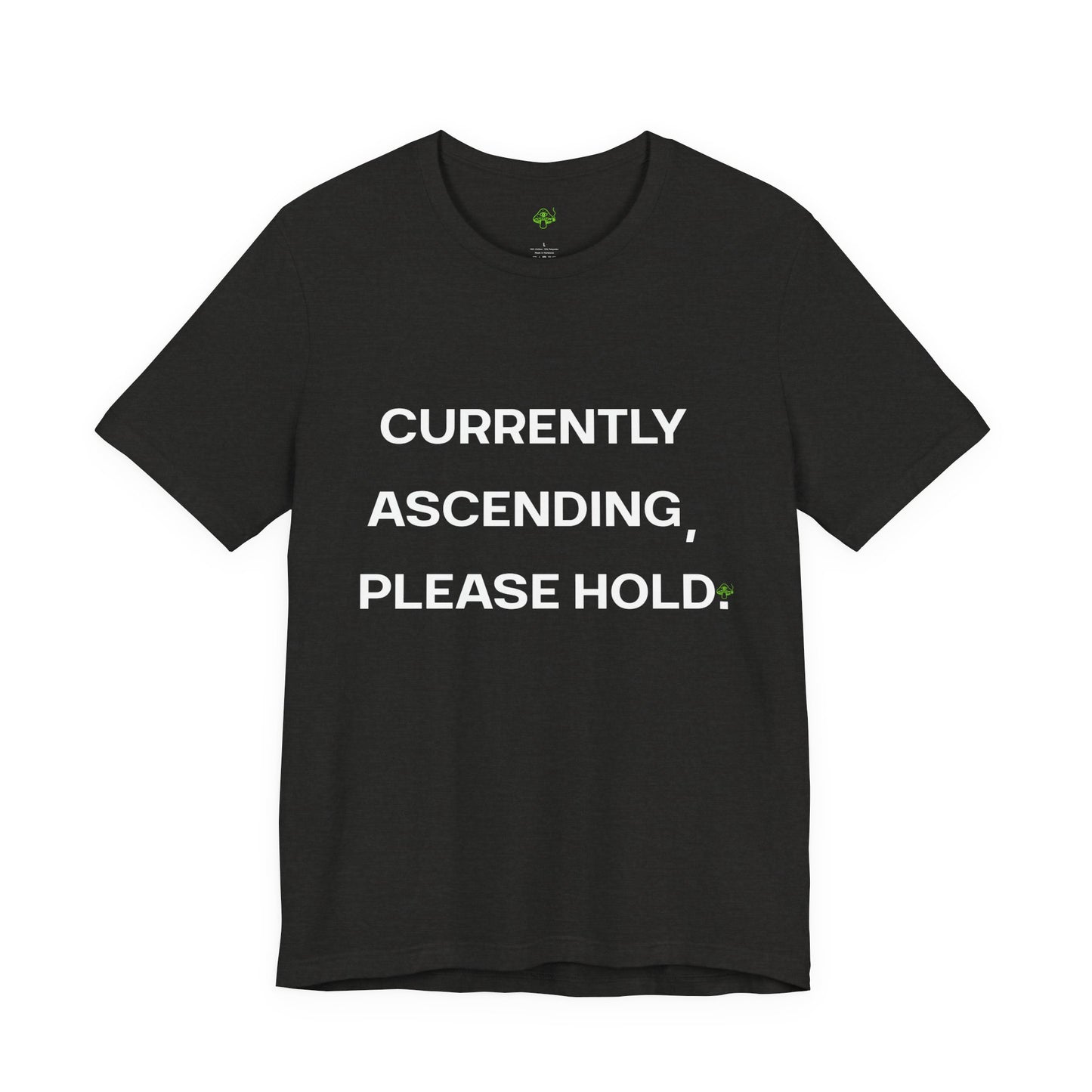 Currently Ascending Please Hold Shirt – Spiritual Meme Tee