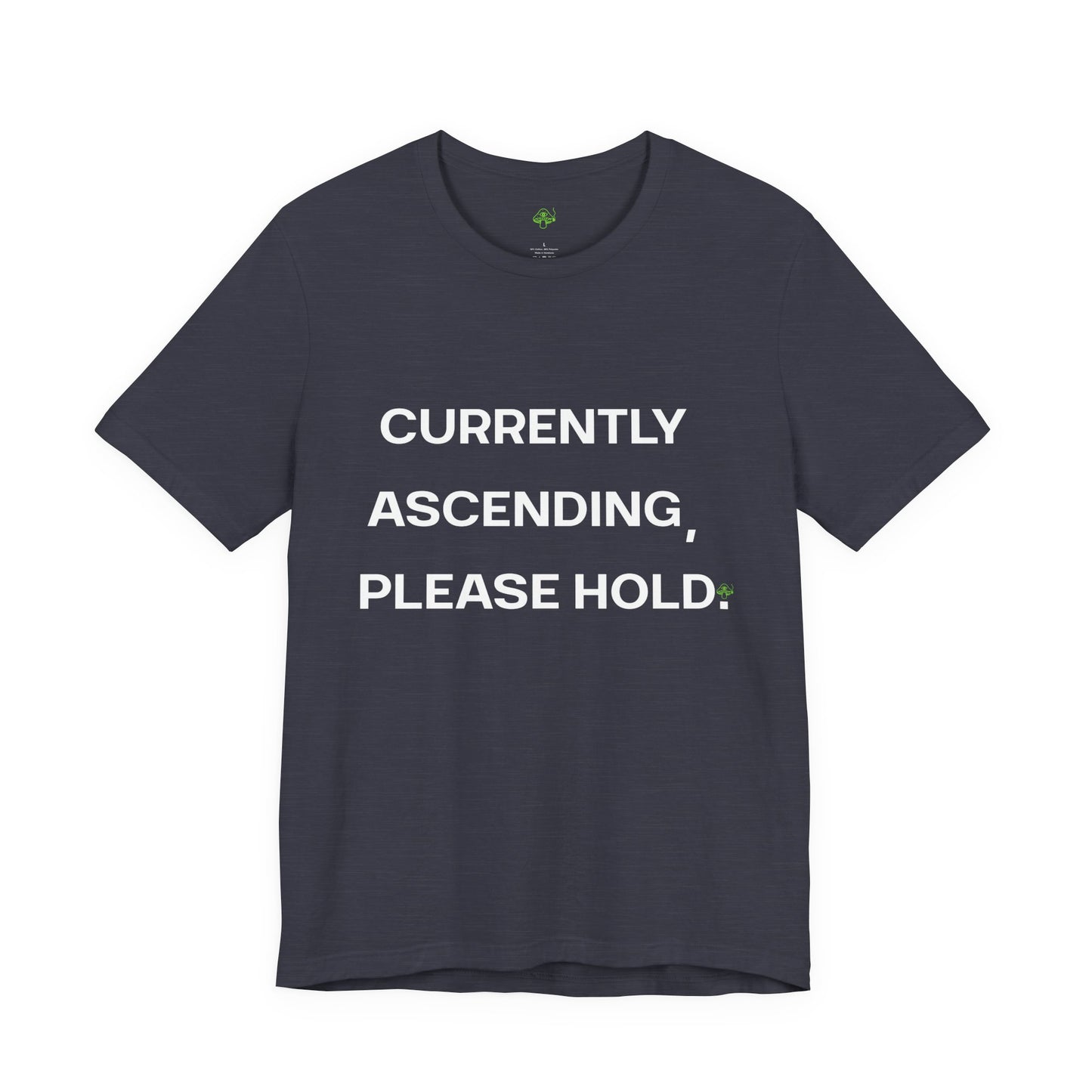 Currently Ascending Please Hold Shirt – Spiritual Meme Tee