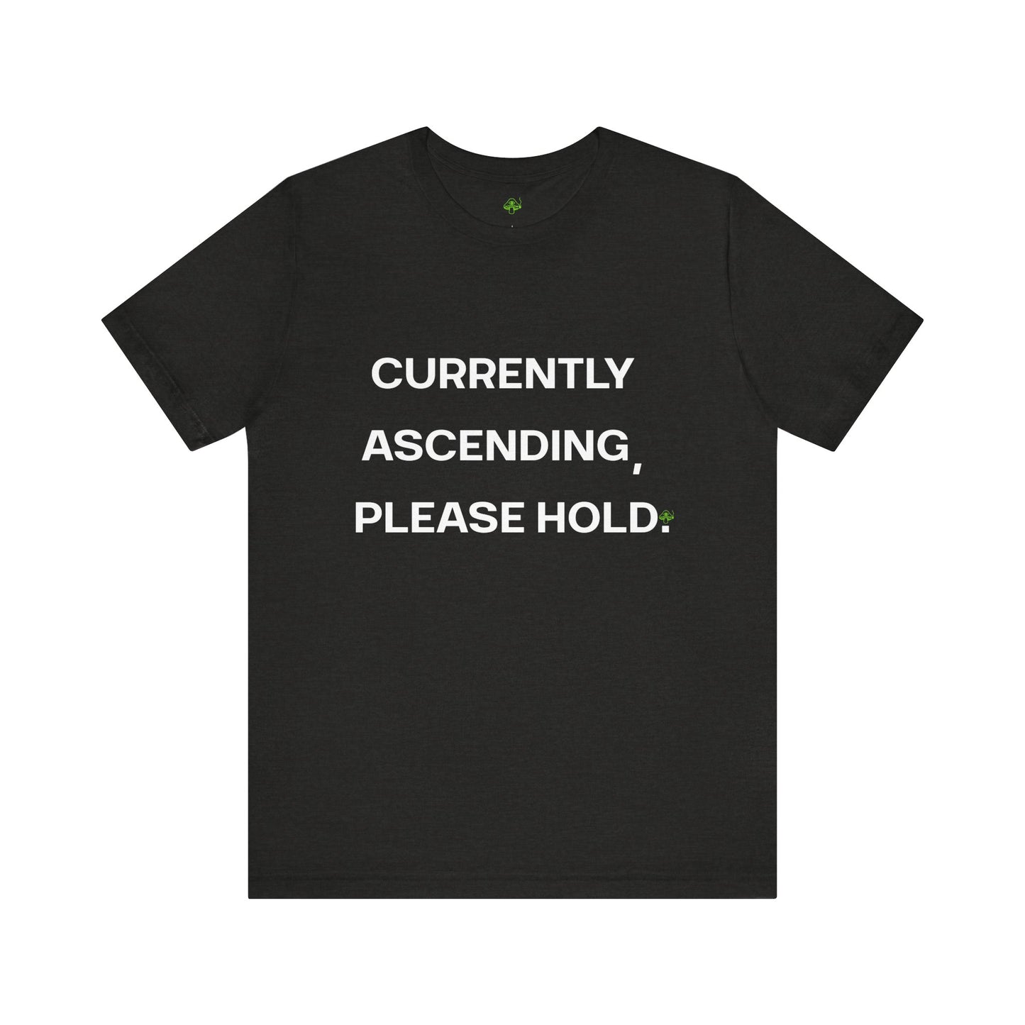 Currently Ascending Please Hold Shirt – Spiritual Meme Tee