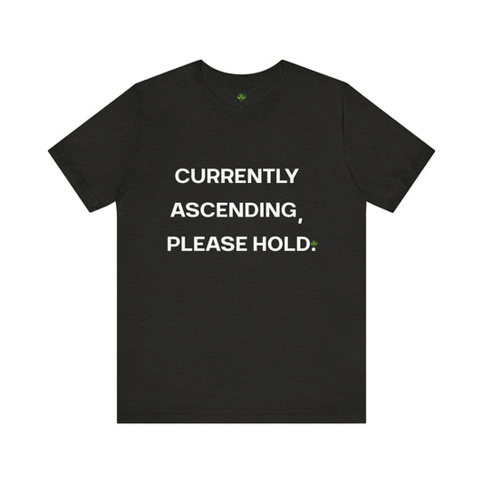 Currently Ascending Please Hold Shirt – Spiritual Meme Tee